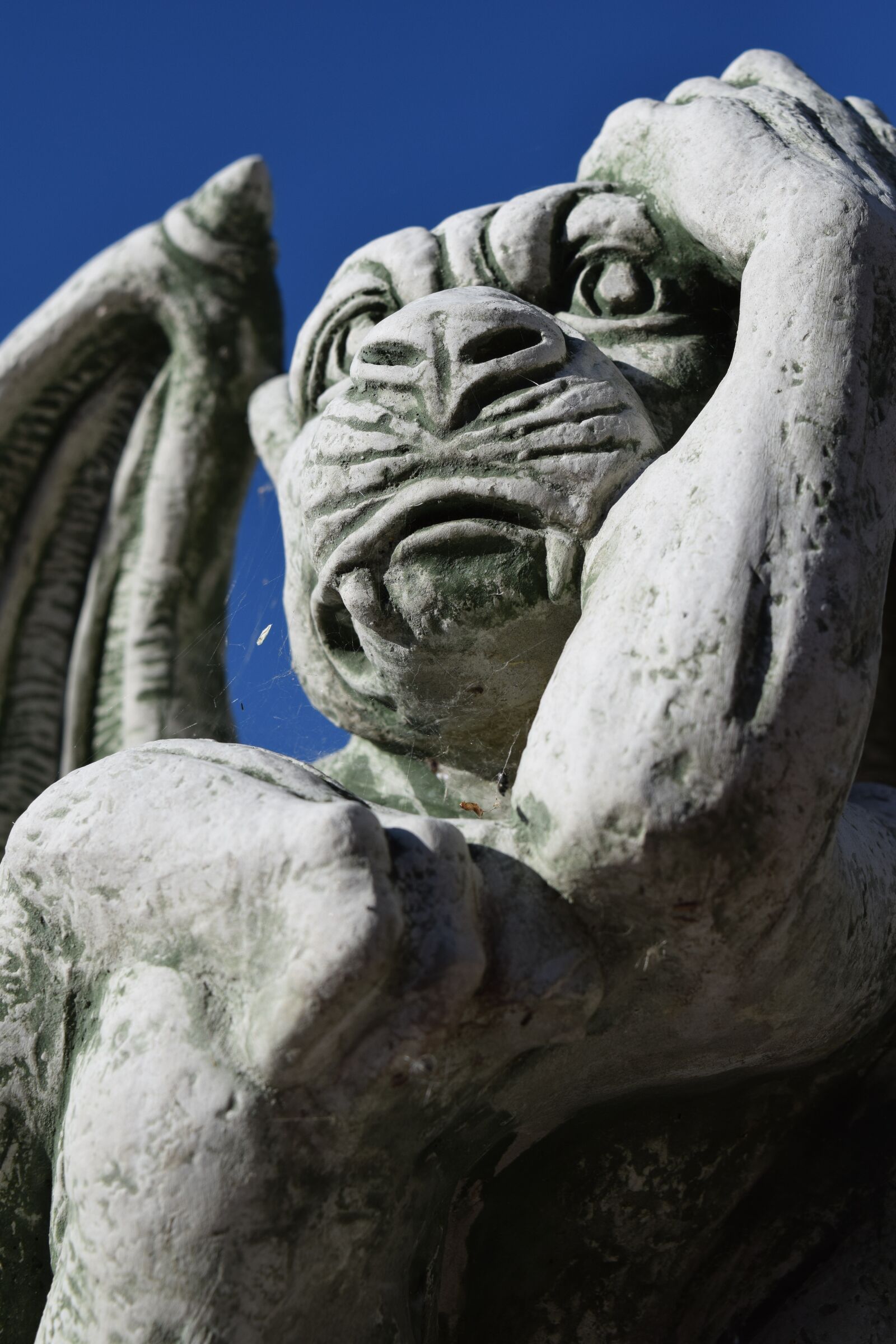 Nikon D3300 sample photo. Gargoyle, figure, mythical photography