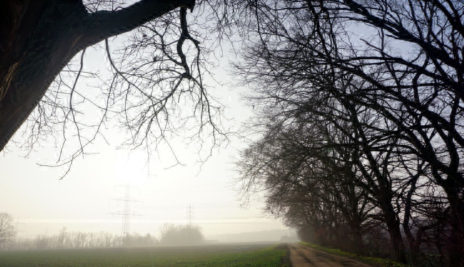 Sony a6000 sample photo. Nature, fog, landscape photography