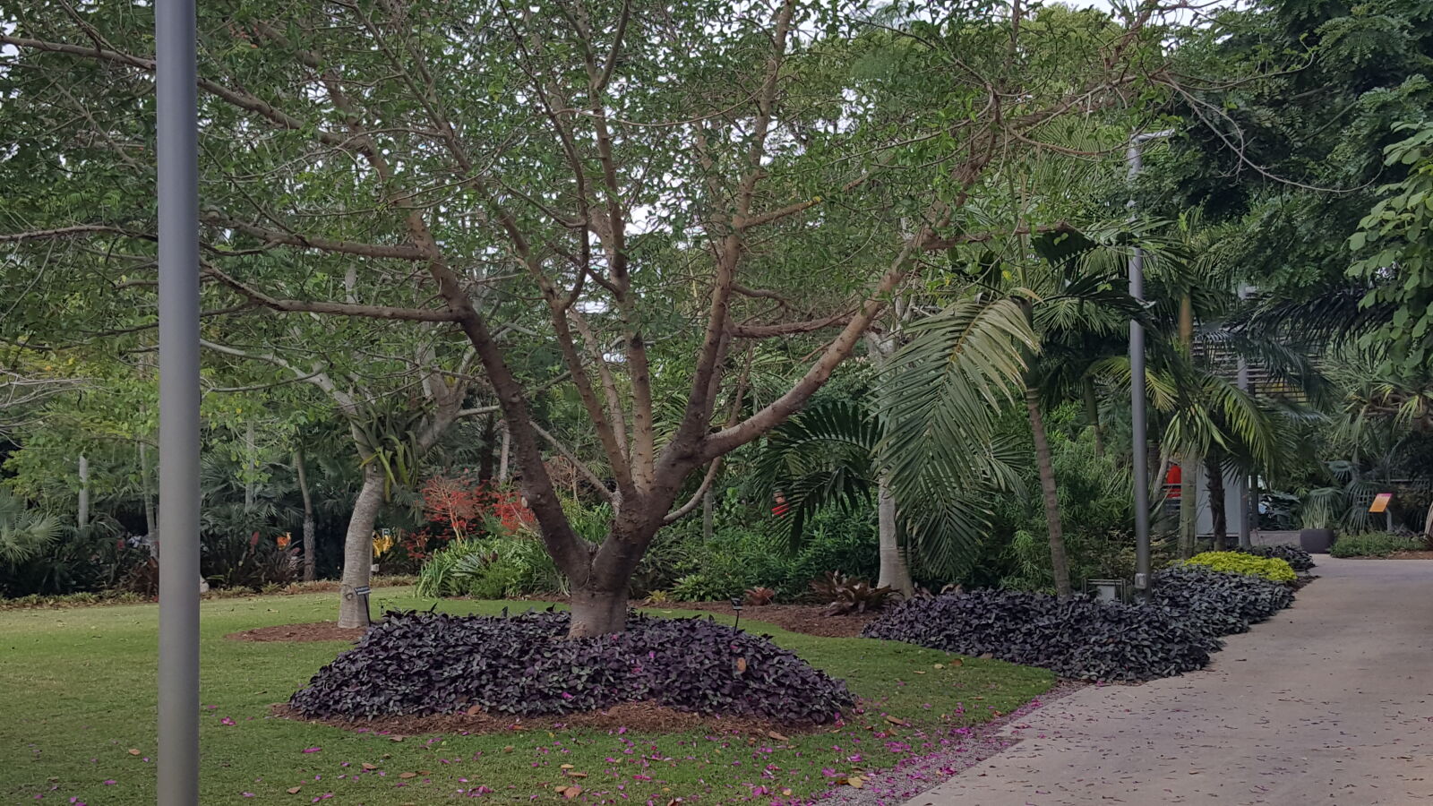 Samsung GALAXY S6 edge sample photo. Botanical, gardens photography