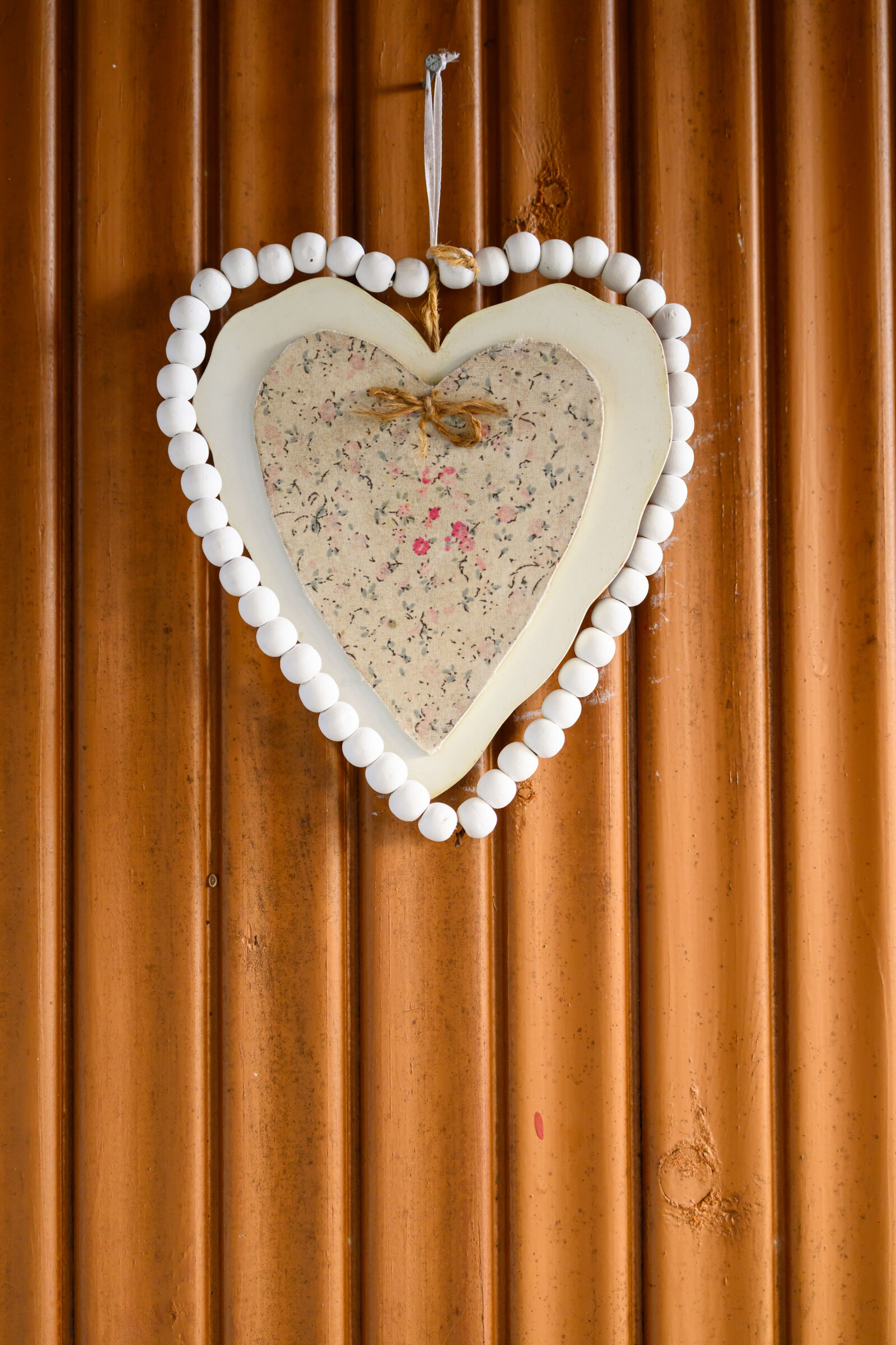 Nikon Z8 sample photo. Decoration door photography