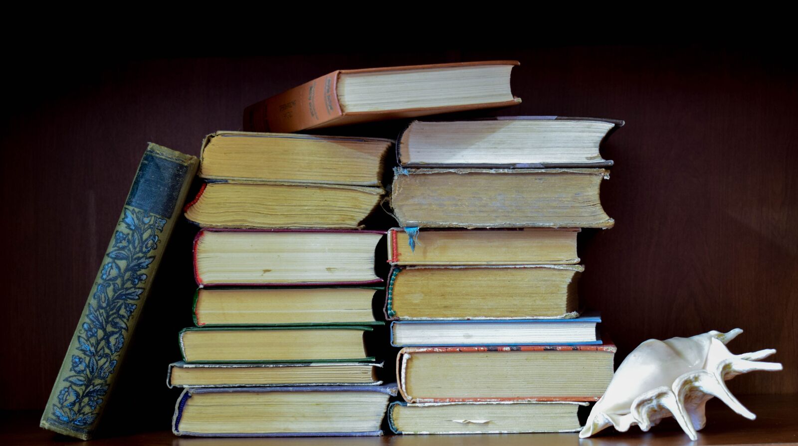 Nikon D5300 sample photo. Books, regiment, library photography