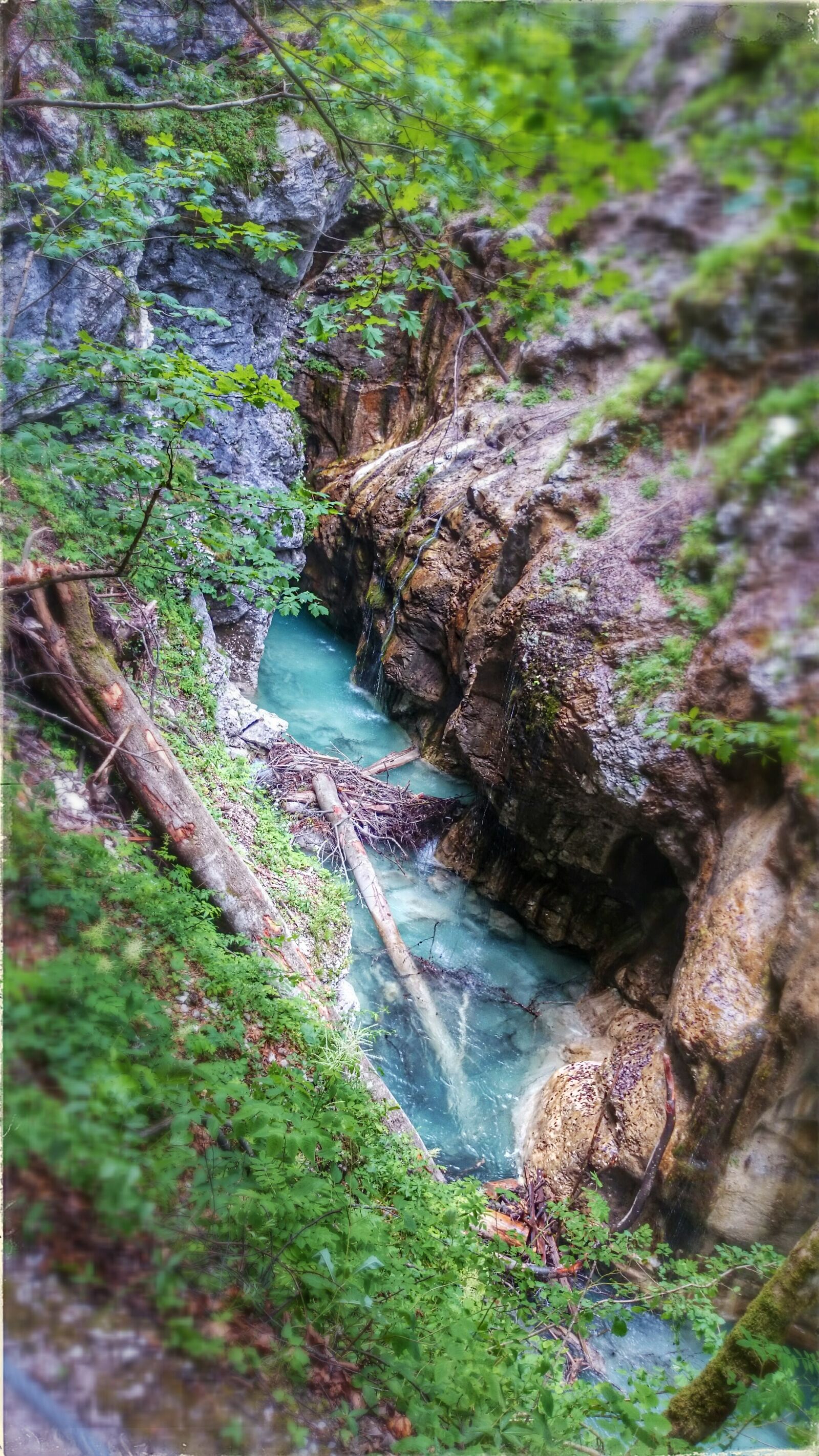 Sony Xperia Z1 Compact sample photo. Water, tree, gorge photography