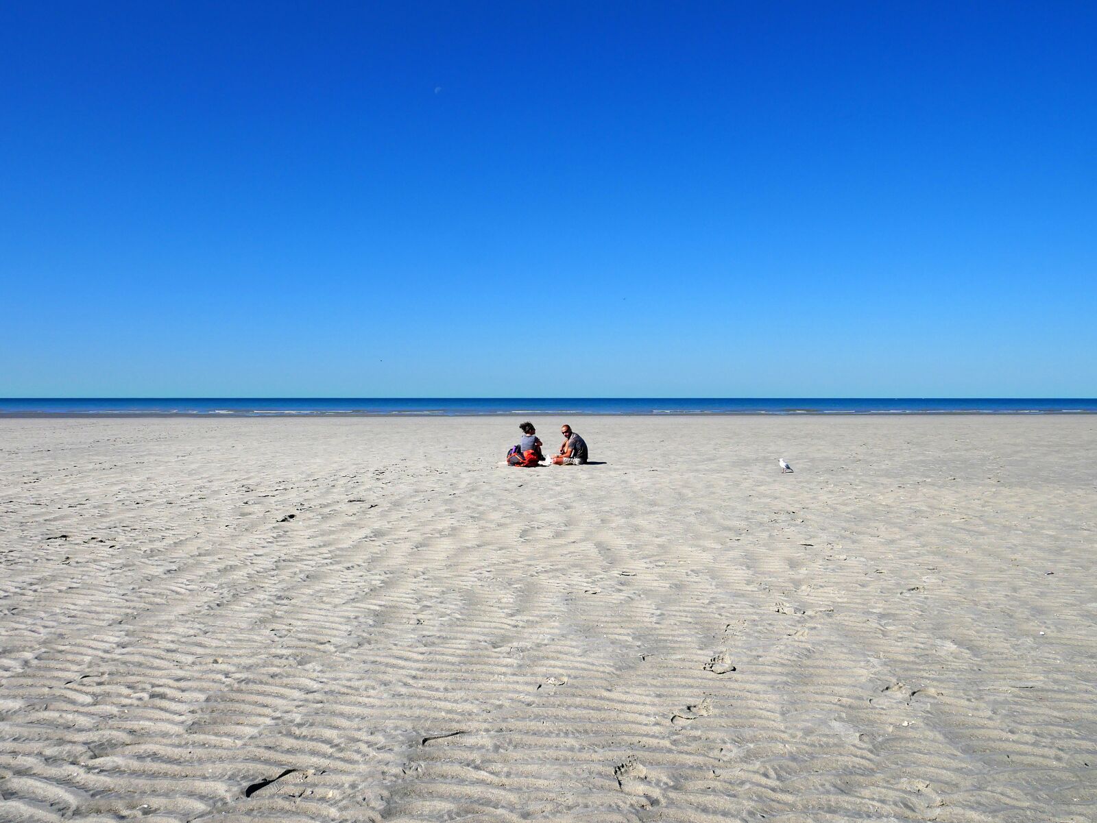 Panasonic Lumix DMC-GX85 (Lumix DMC-GX80 / Lumix DMC-GX7 Mark II) sample photo. Beach, couple, bird photography