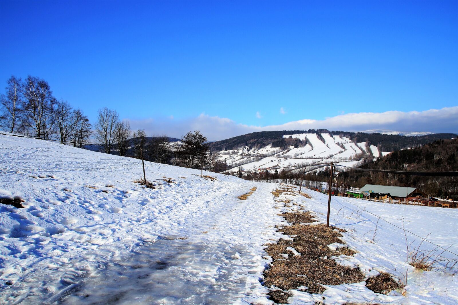 Sony SLT-A58 sample photo. Path, winter, snowy path photography