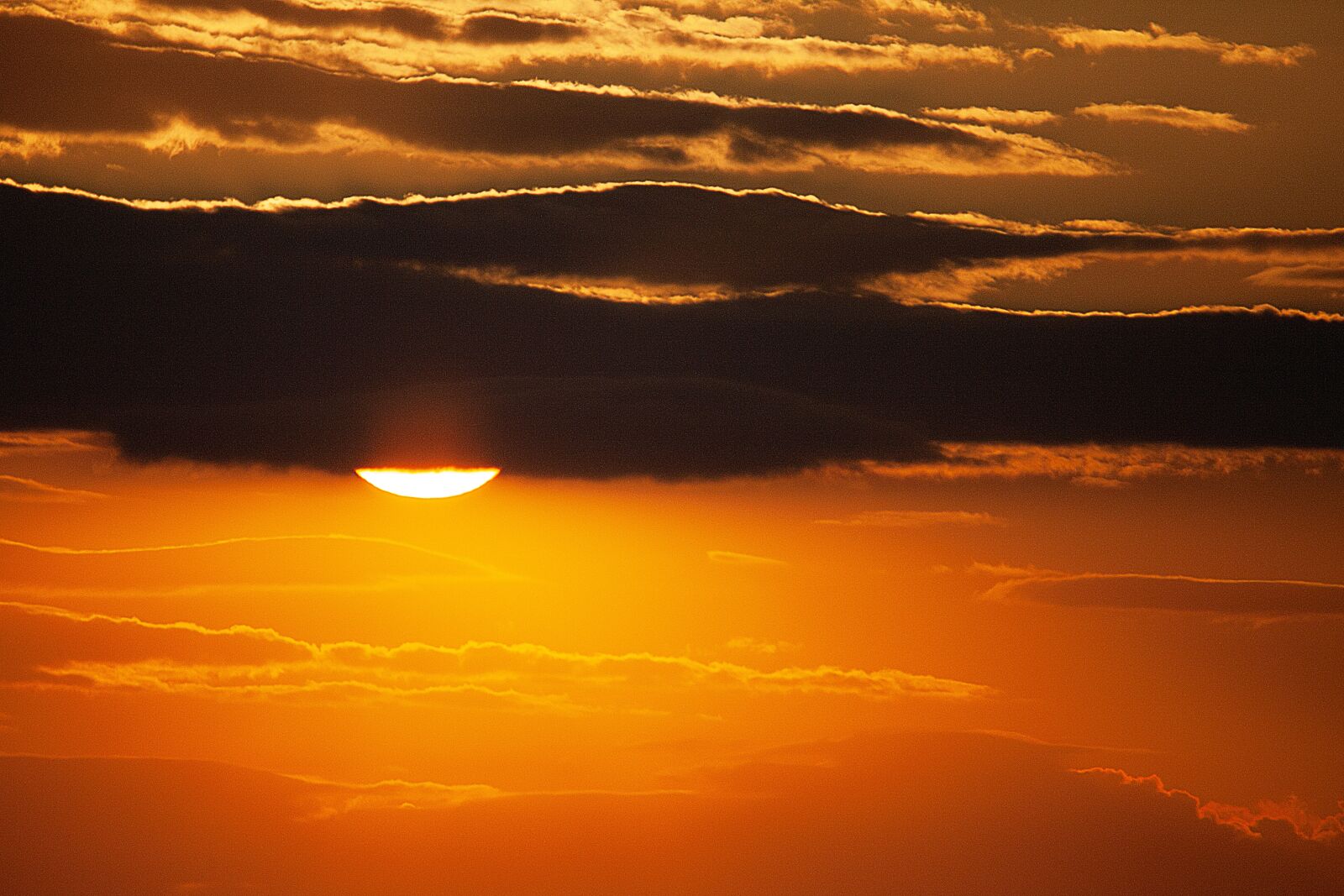 Canon EOS 5D Mark II sample photo. Sun, sunset, evening sun photography