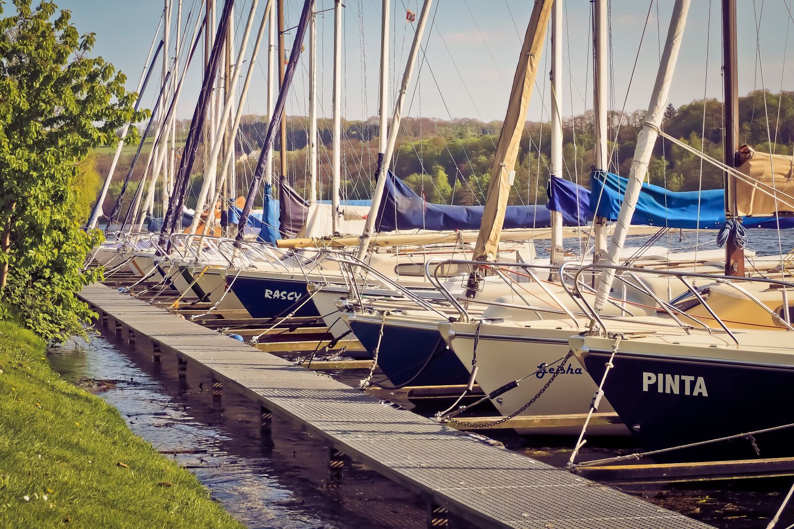Olympus OM-D E-M10 sample photo. Port, sailing boats, create photography