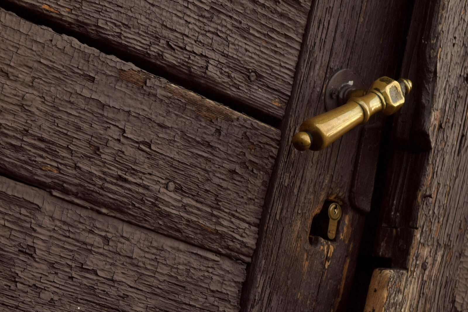 Nikon D5300 sample photo. Handle, door, gate photography