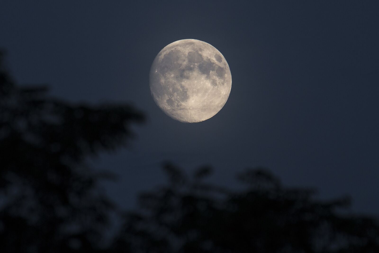 Canon EOS 70D sample photo. Full moon, moon, night photography