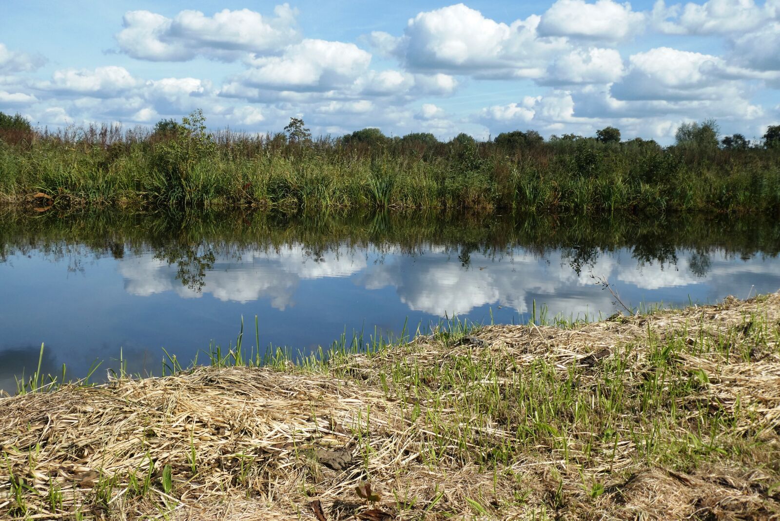 Panasonic Lumix DC-ZS70 (Lumix DC-TZ90) sample photo. Polder, reflection, background photography