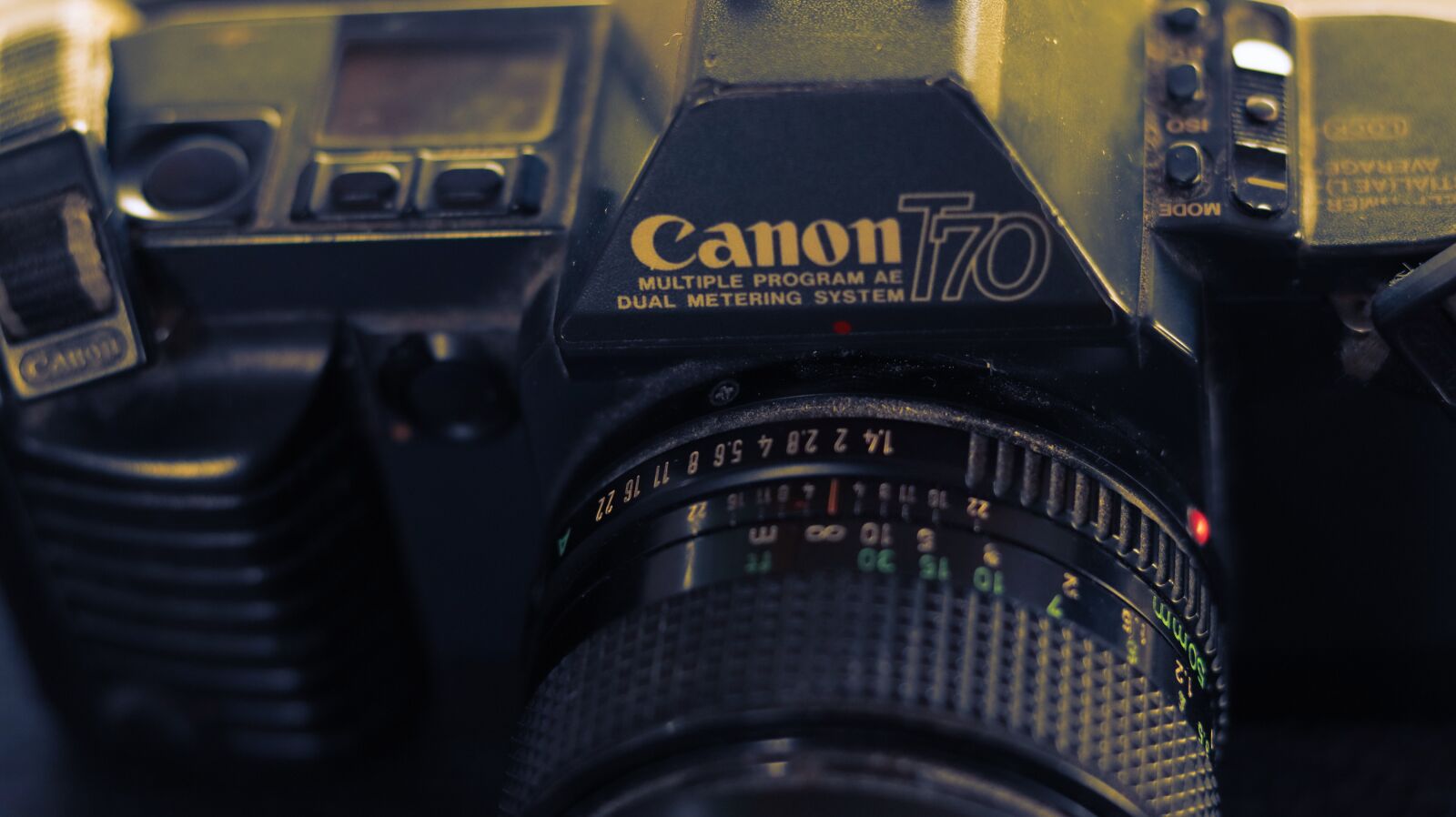 Canon EOS M50 (EOS Kiss M) sample photo. Canon, camera, canon t70 photography