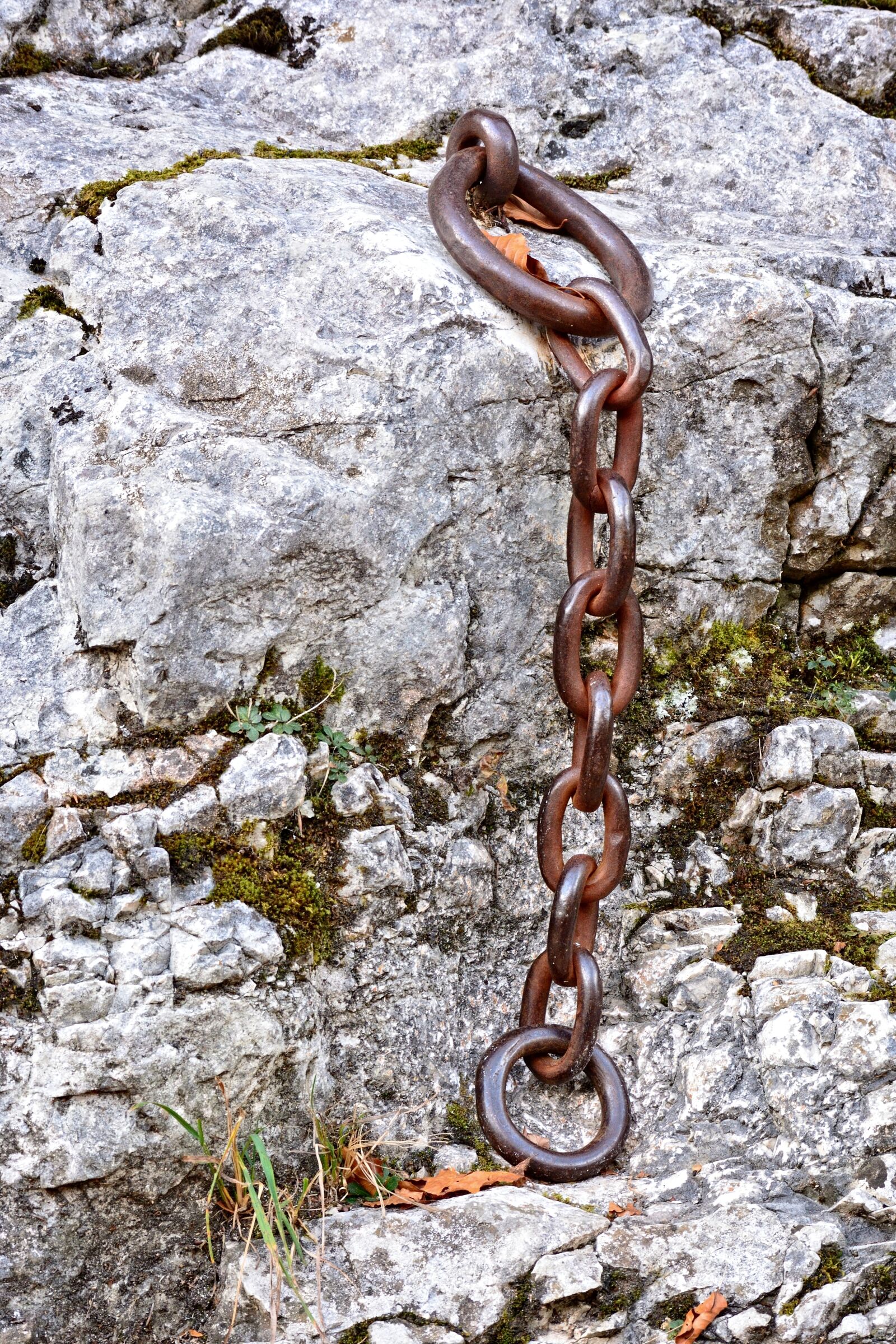 Nikon D7100 sample photo. Iron chain, chain, fixing photography
