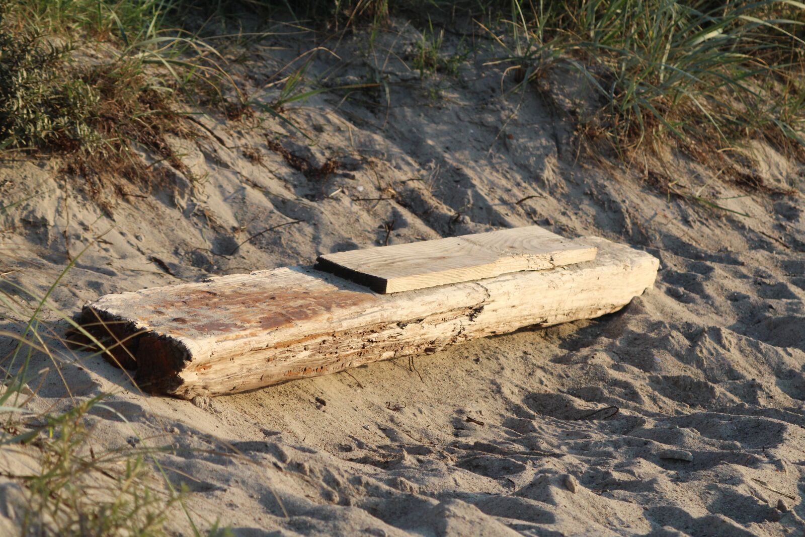 Canon EF 70-210mm f/4 sample photo. Wood, sand, beach driftwood photography