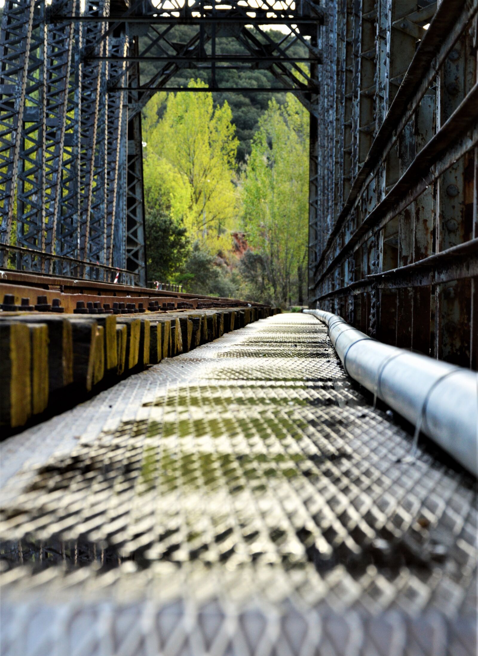 Nikon D3200 sample photo. Train tracks, abandoned, rail photography