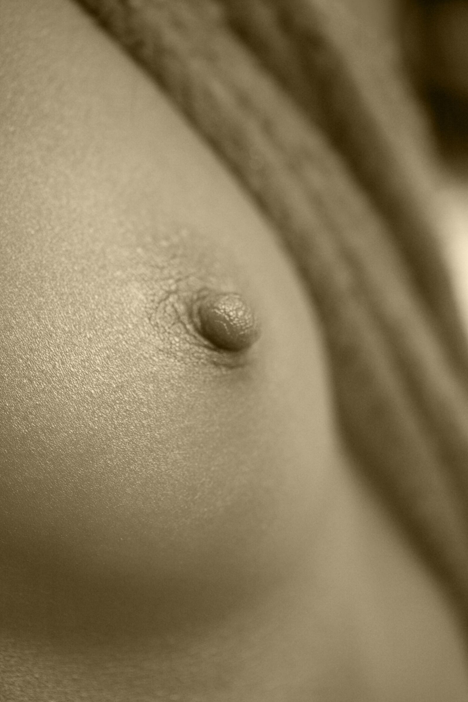 Canon EOS 40D sample photo. Nude, naked, breast photography
