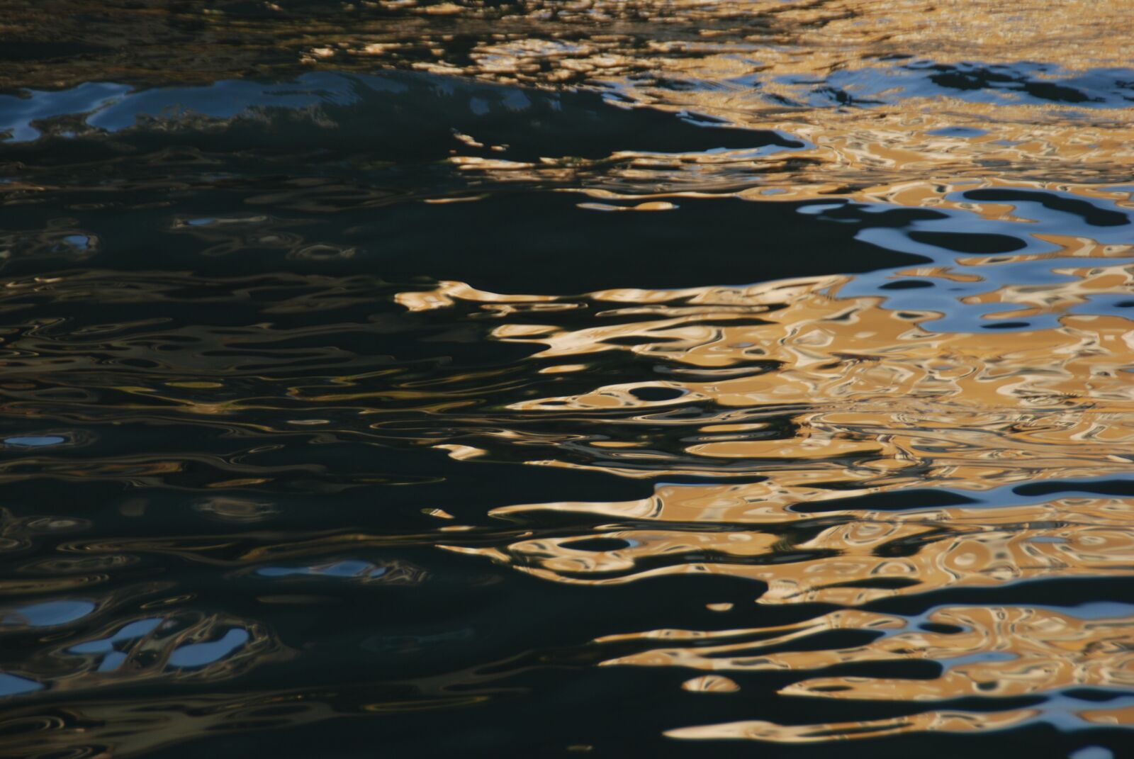 Nikon D80 sample photo. Waters, dormant, venice photography