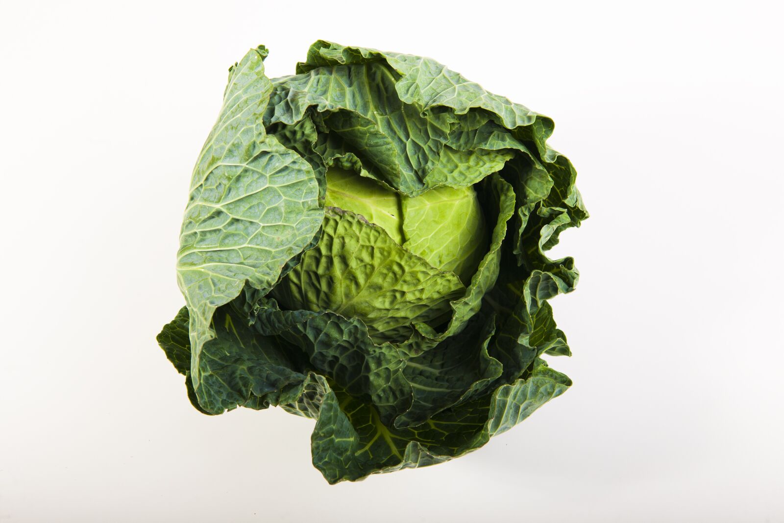 Nikon D3X sample photo. Green, cabbage, power photography