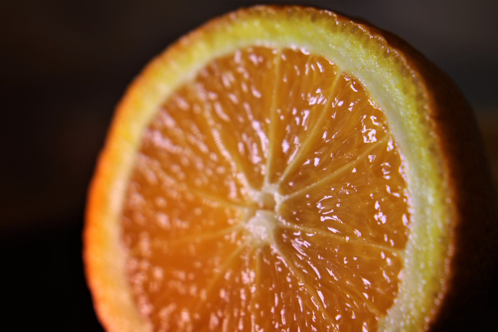 Canon EOS 2000D (EOS Rebel T7 / EOS Kiss X90 / EOS 1500D) sample photo. Orange, close, nature photography