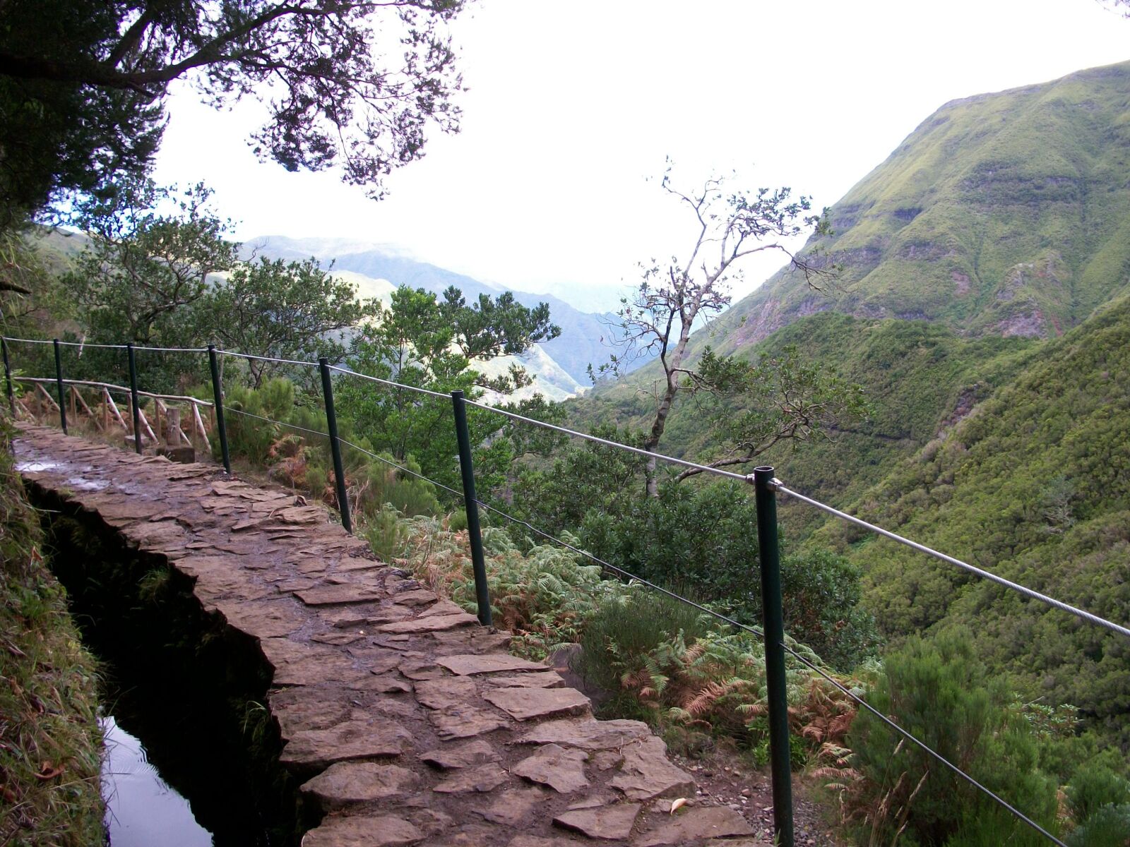 Kodak EASYSHARE M340 DIGITAL CAMERA sample photo. Portugal, madeira, levada photography