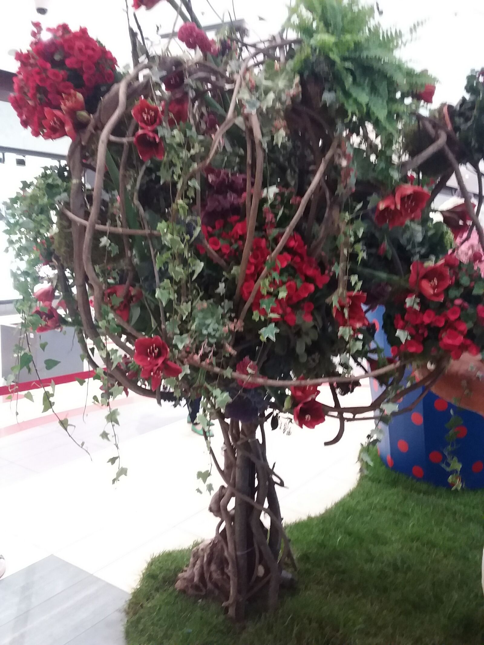 Samsung Galaxy J3(2016) sample photo