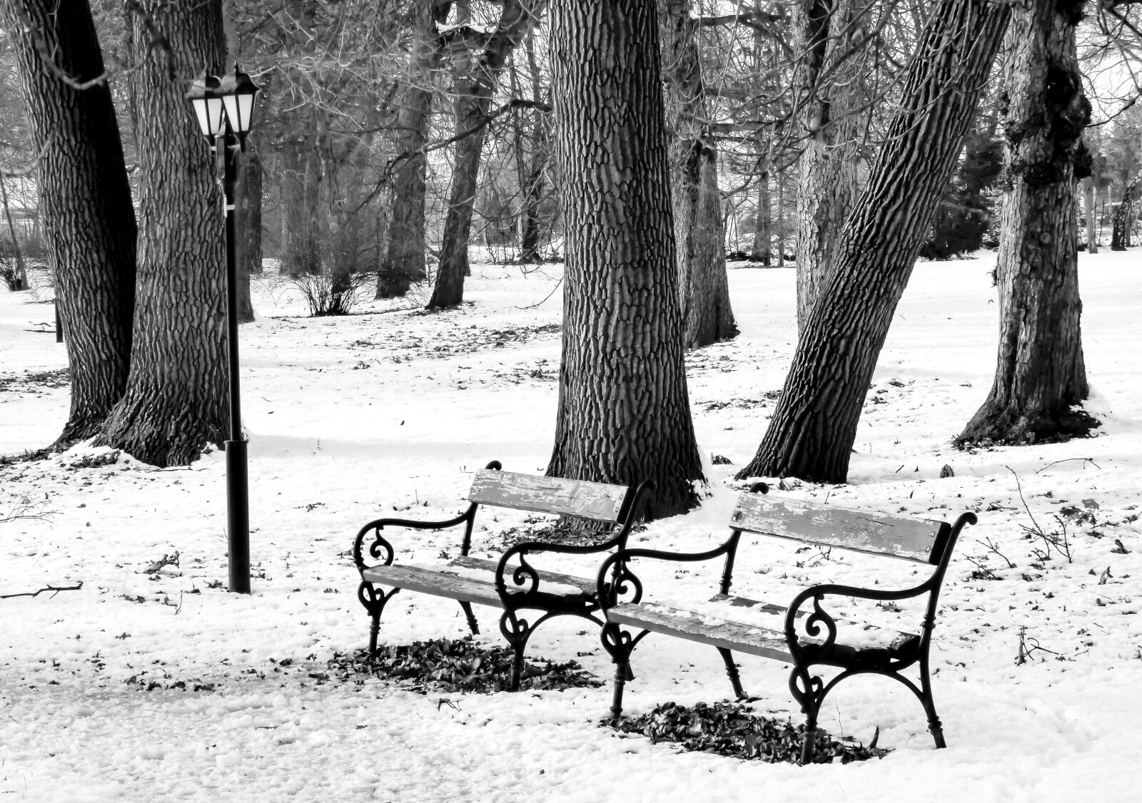 Panasonic DMC-FZ72 sample photo. Winter, park, pad photography
