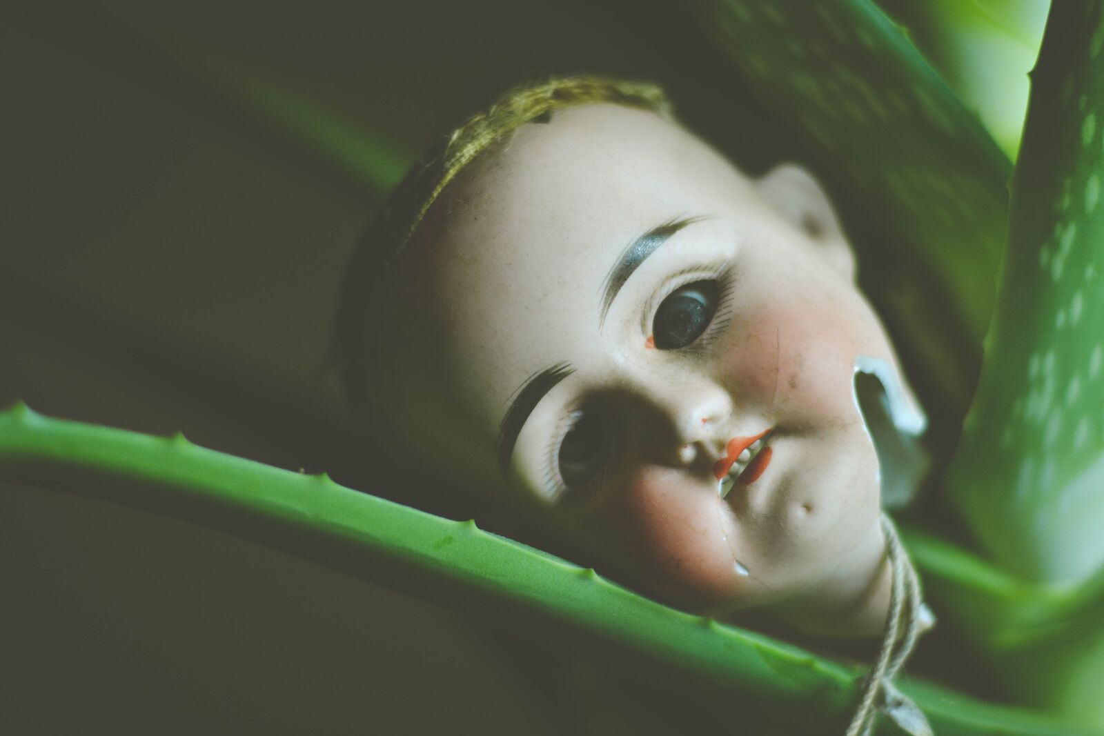 Nikon D3100 sample photo. Doll, doll head, halloween photography