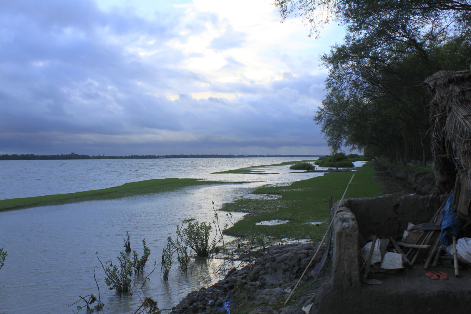 Canon EF-S 18-55mm F3.5-5.6 IS sample photo. Bangladesh, canal, fisherman, flower photography