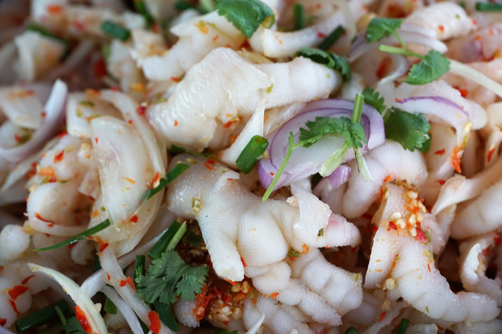 Sony ILCA-77M2 + Sony DT 16-50mm F2.8 SSM sample photo. Food, shrimp, meal photography