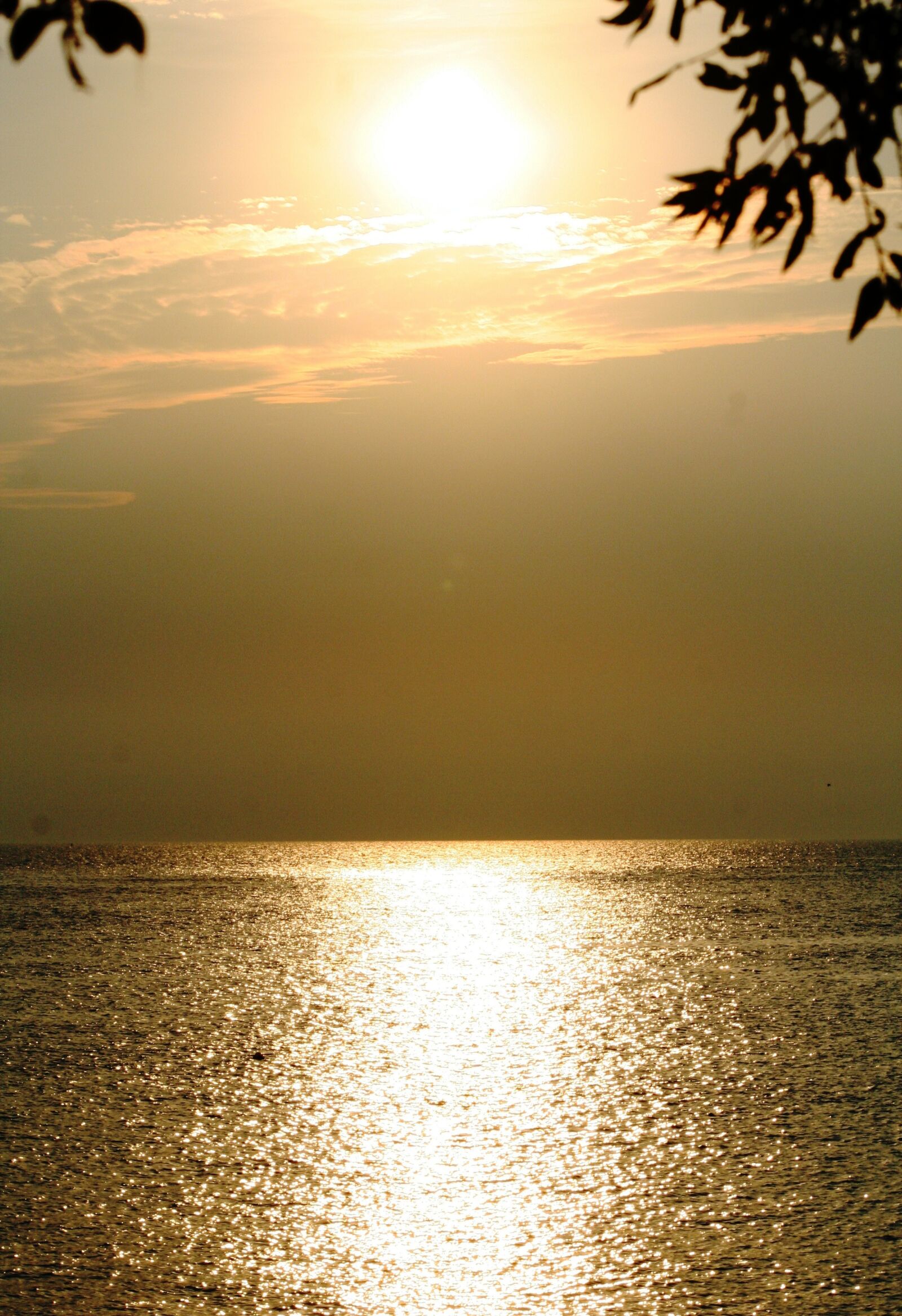 Canon EOS 350D (EOS Digital Rebel XT / EOS Kiss Digital N) sample photo. Croatia, water, sea photography