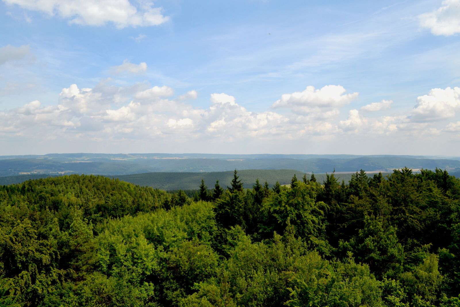 Nikon D3100 sample photo. Sky, clouds, trees photography