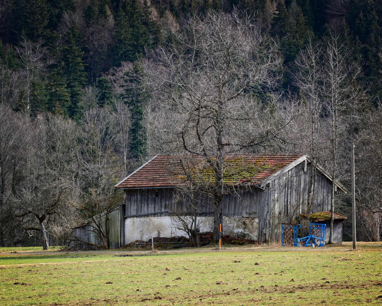 Nikon D7100 sample photo. Field barn, barn, nature photography