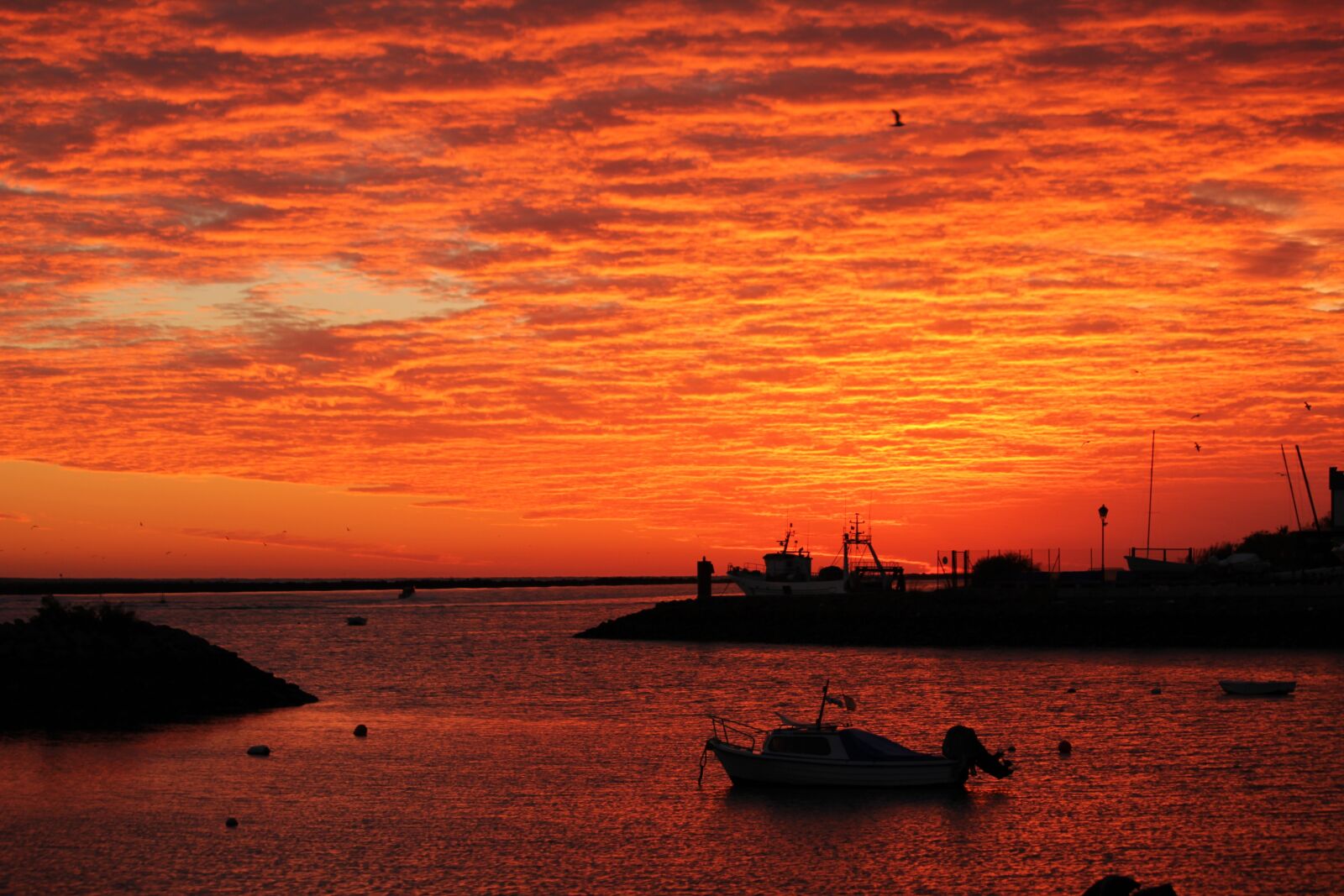 Canon EOS 550D (EOS Rebel T2i / EOS Kiss X4) sample photo. Dawn, puntadelmoral, ayamonte photography