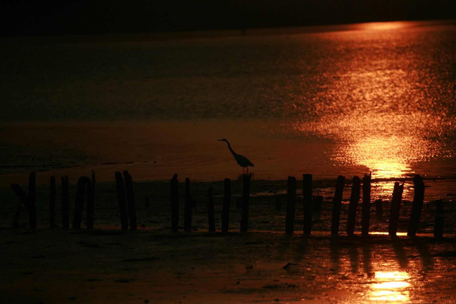 Canon EOS 5D sample photo. Shenzhen, sun, rise photography