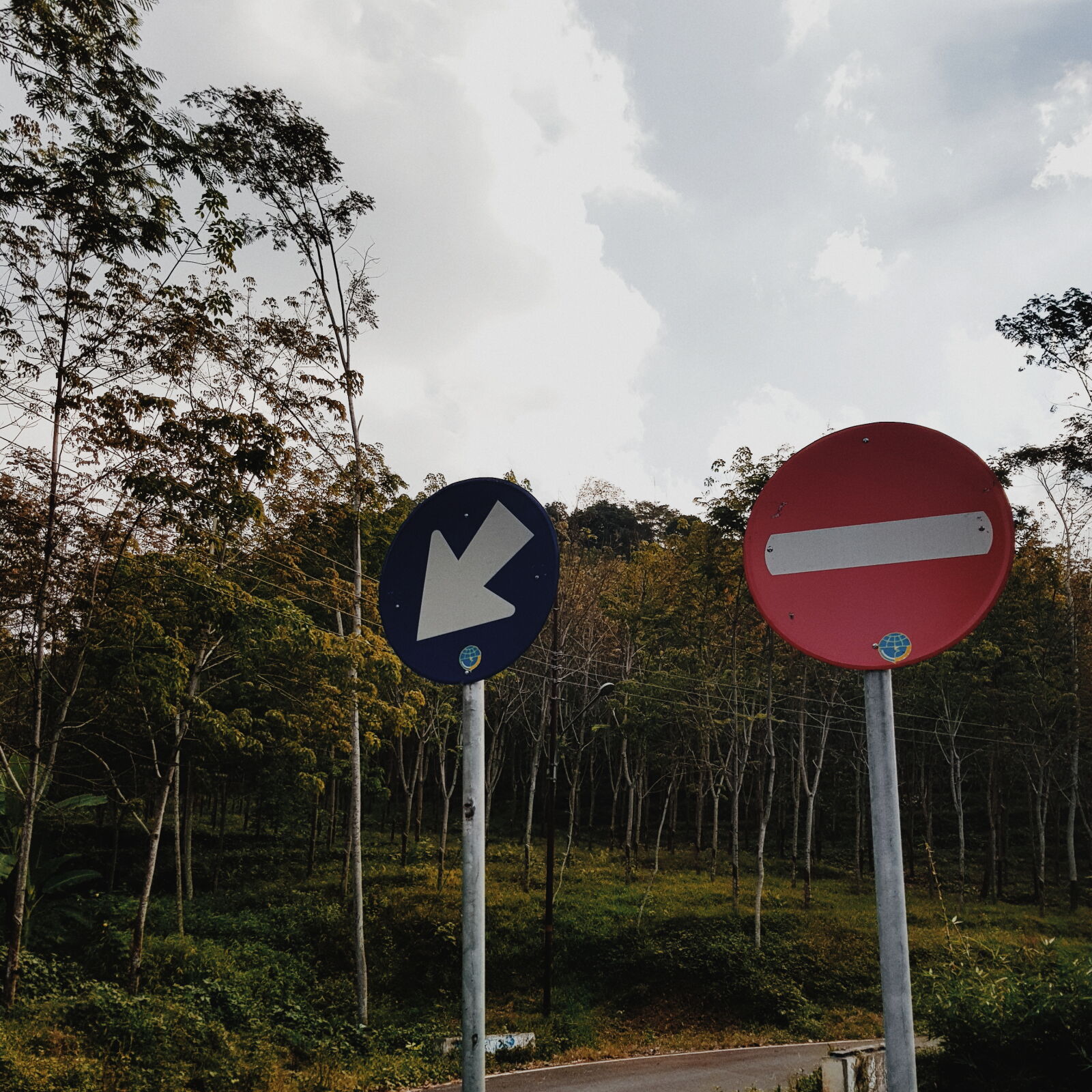 Samsung Galaxy S8 sample photo. Forest, road, signs photography