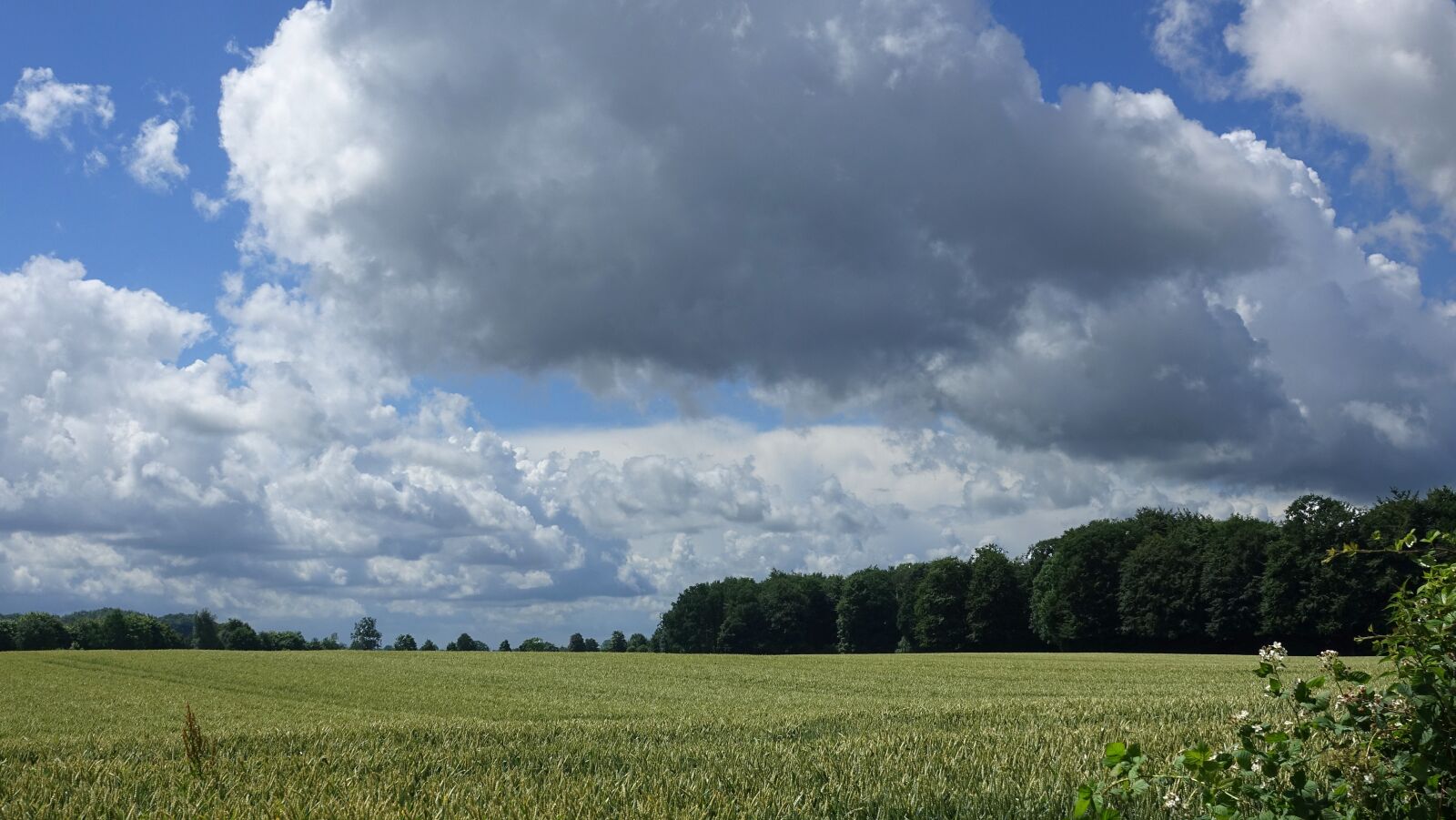 Sony Cyber-shot DSC-RX10 III sample photo. Summer 2016, clouds, landscape photography