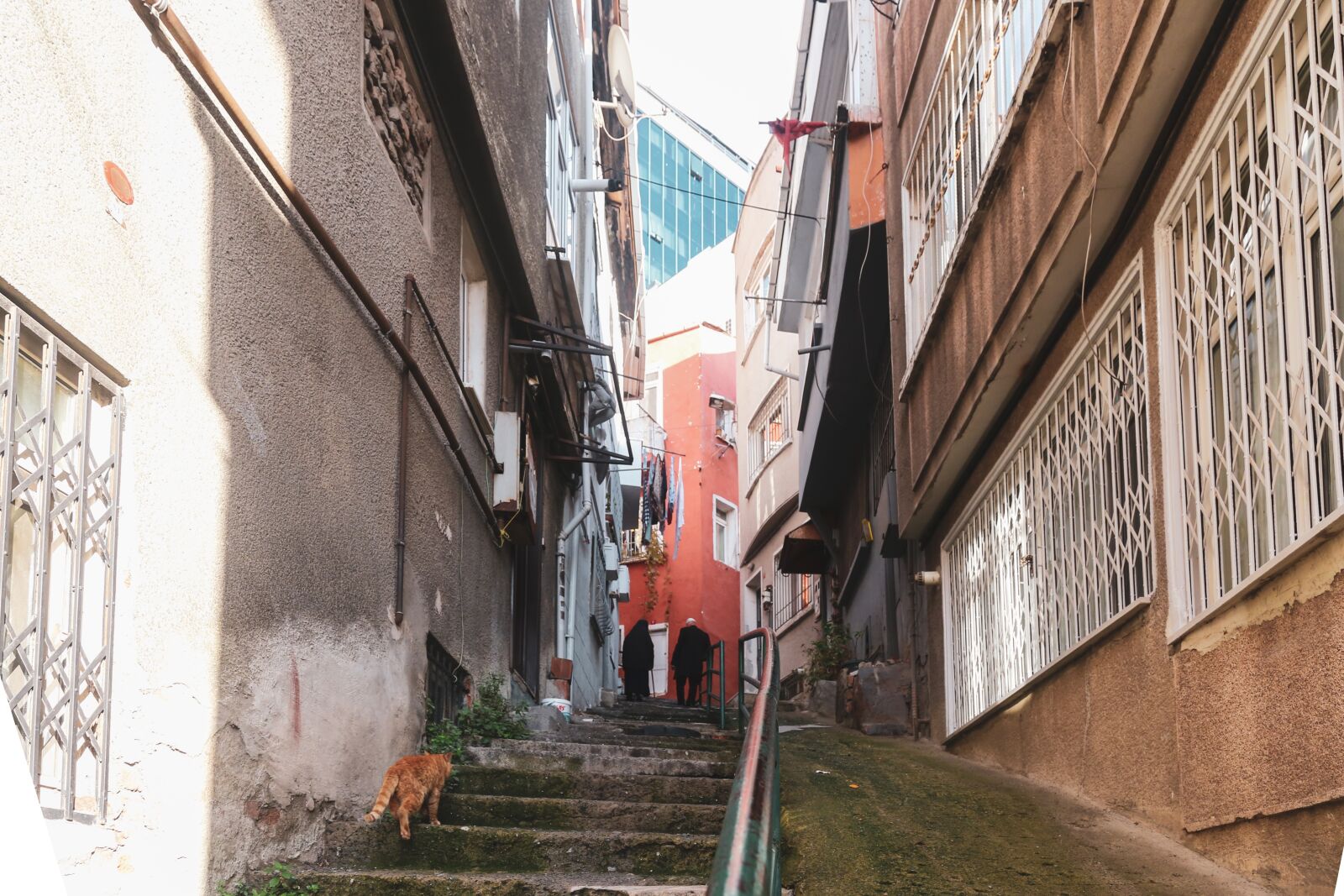 Canon EOS 6D + Canon EF 24-105mm F4L IS USM sample photo. Street, elderly, m photography