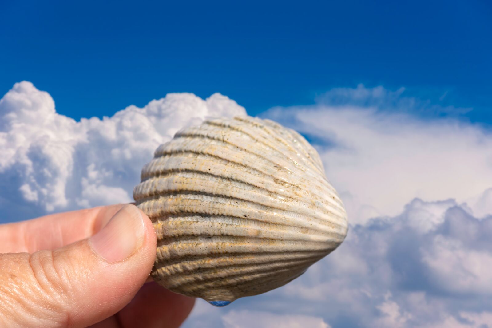 Nikon D7200 sample photo. Shell hand, finger, cloud photography