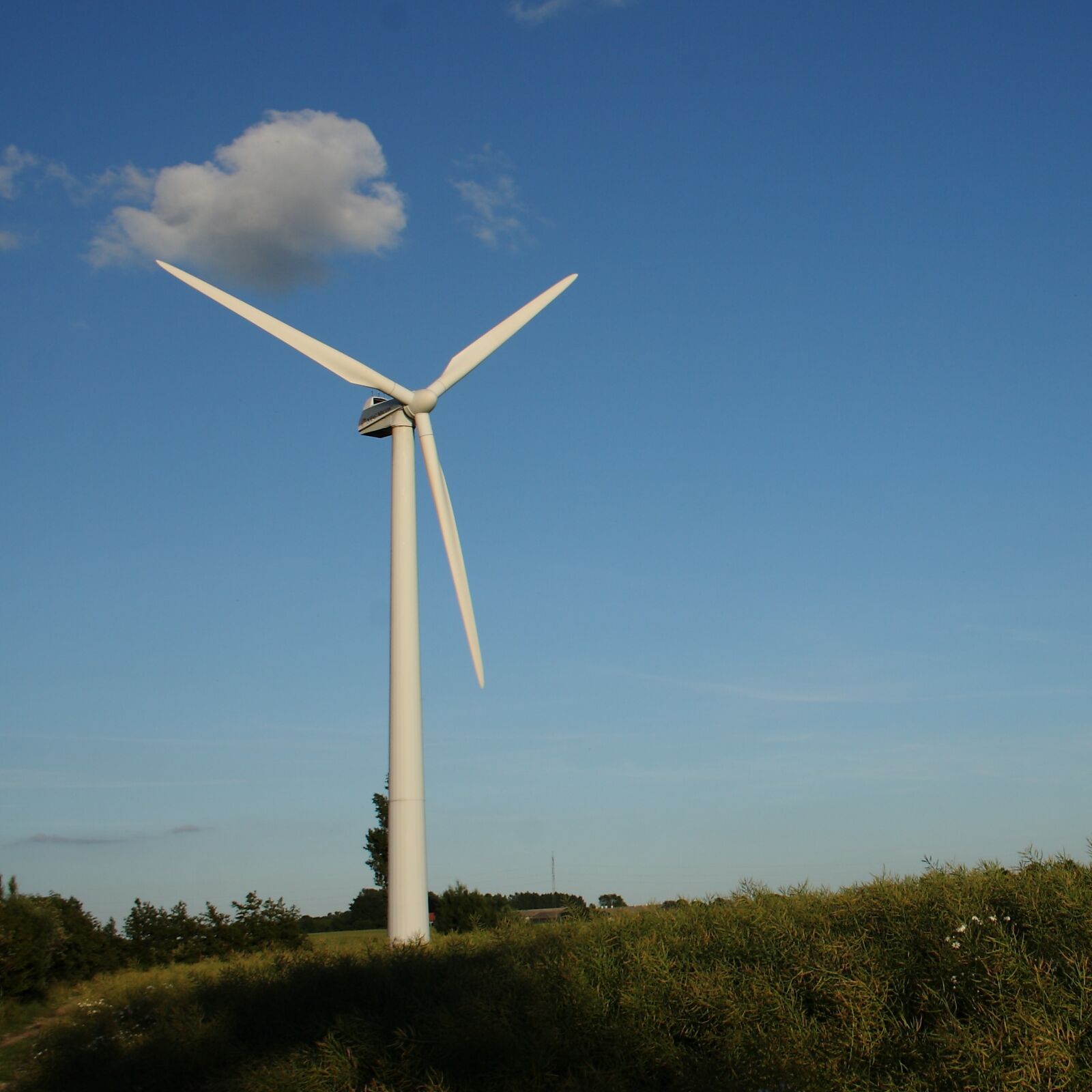 Canon EOS 400D (EOS Digital Rebel XTi / EOS Kiss Digital X) sample photo. Wind turbine, landscape, summer photography