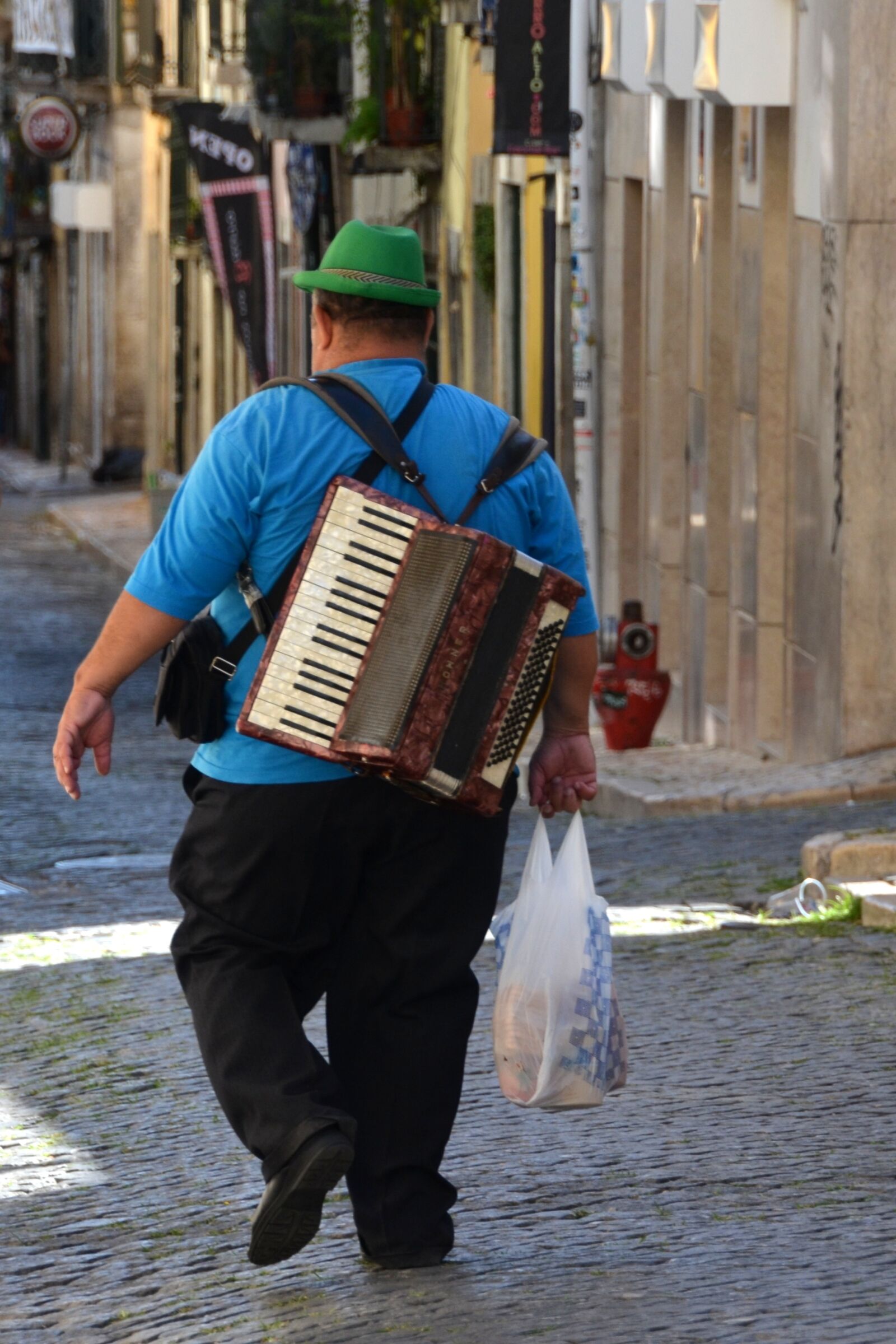Nikon D5100 sample photo. Accordion, musician, music photography