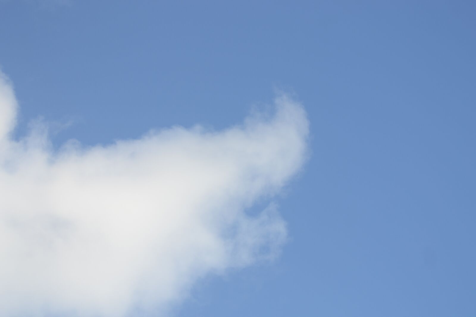 Nikon D3100 sample photo. Sky, cloud, blue photography
