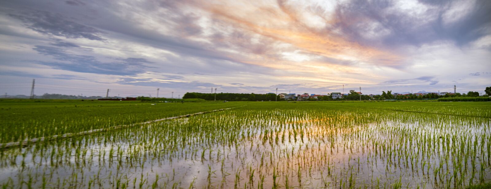 Nikon D700 sample photo. Green, field, landscape photography