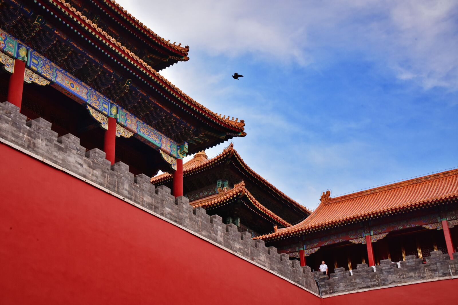 Nikon D810 sample photo. The forbidden city, beijing photography