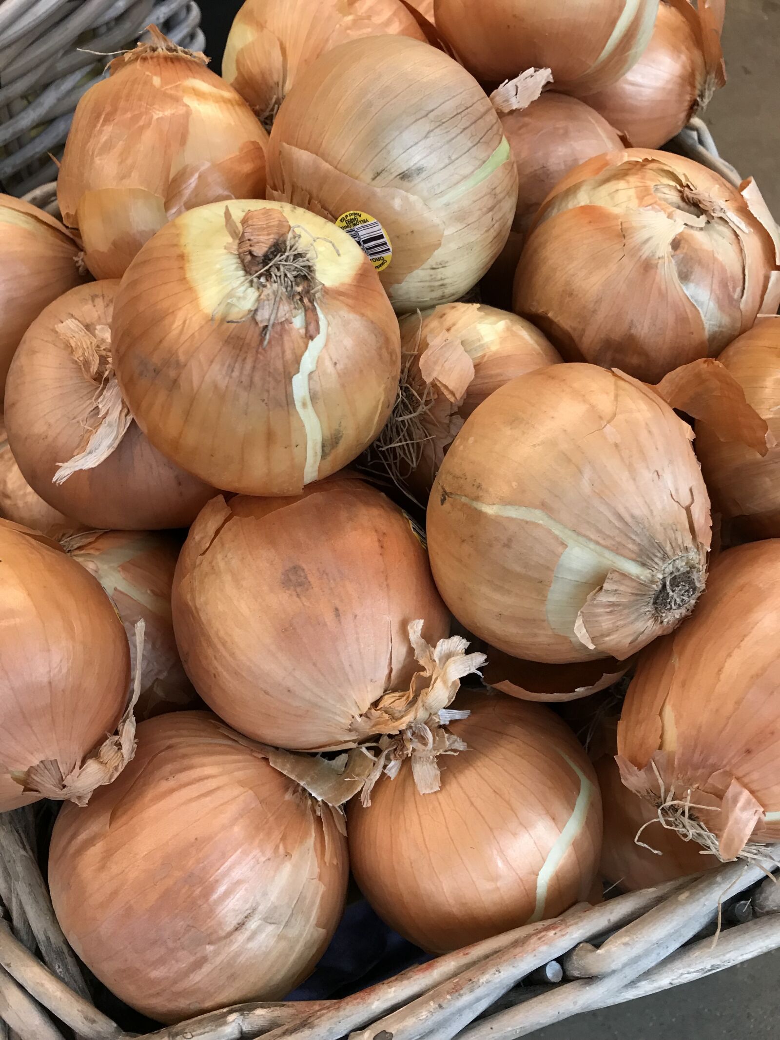 Apple iPhone 7 sample photo. Onions, vidalia onions, vidalia photography