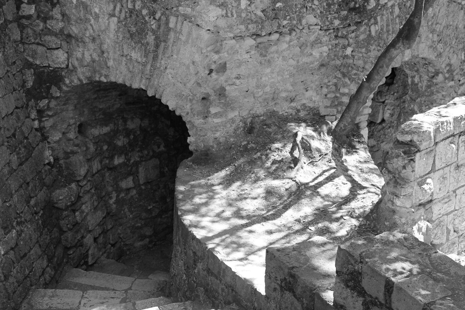 Canon EOS 1100D (EOS Rebel T3 / EOS Kiss X50) sample photo. Path, black and white photography