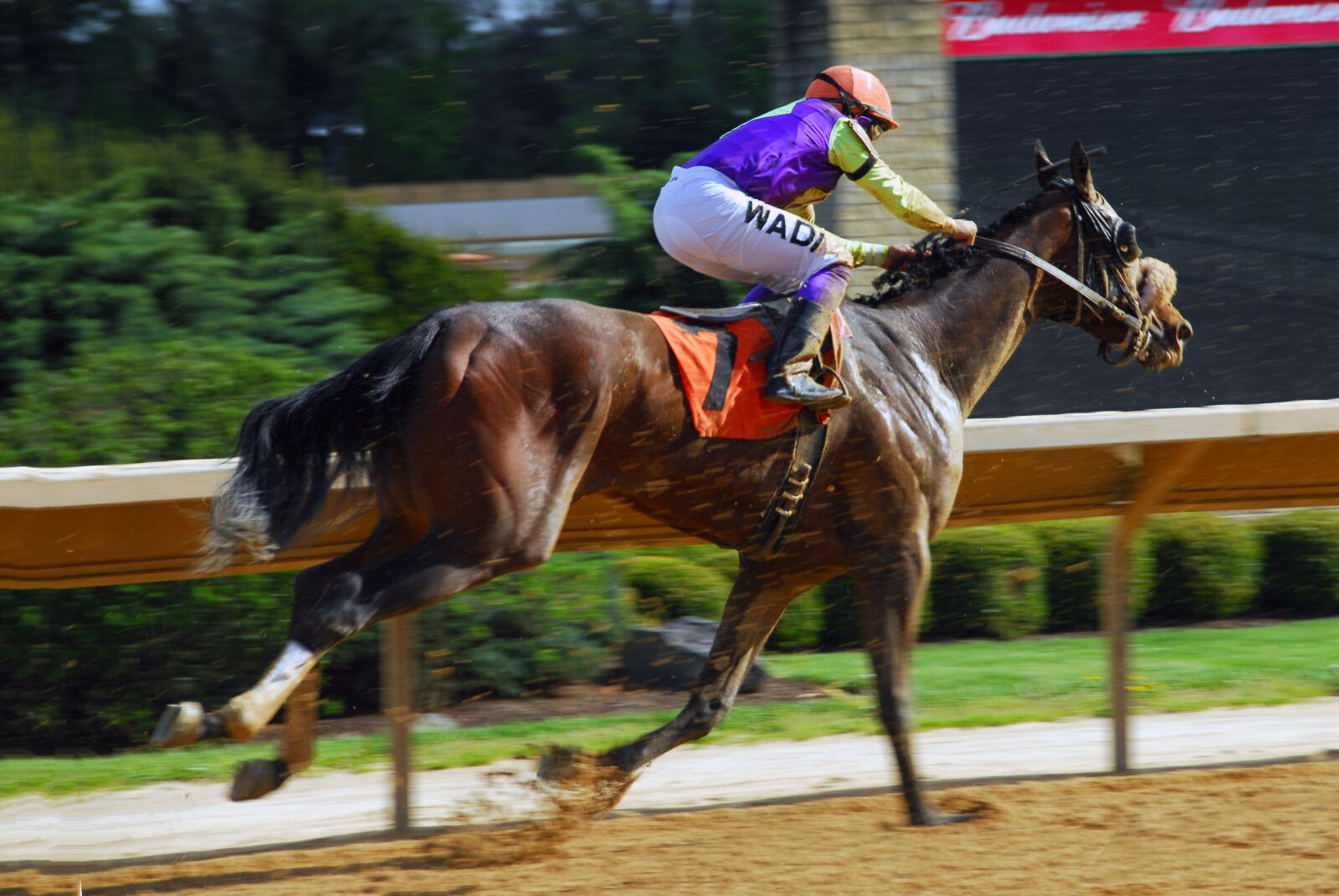 Nikon D200 sample photo. Horse racing, speed, jockey photography