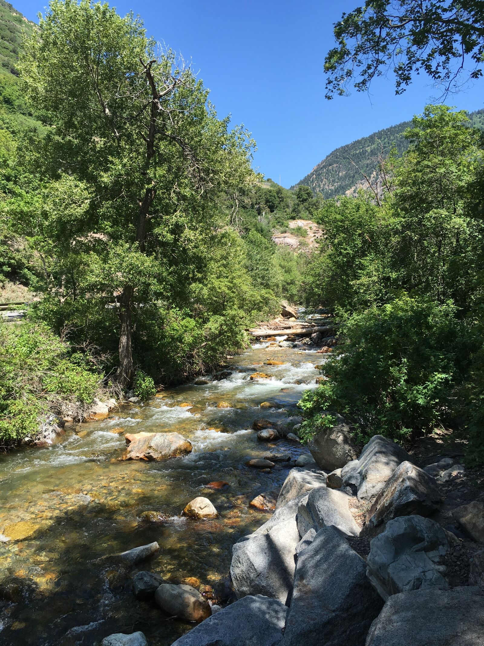 Apple iPhone 6s sample photo. Mountain, stream, nature photography