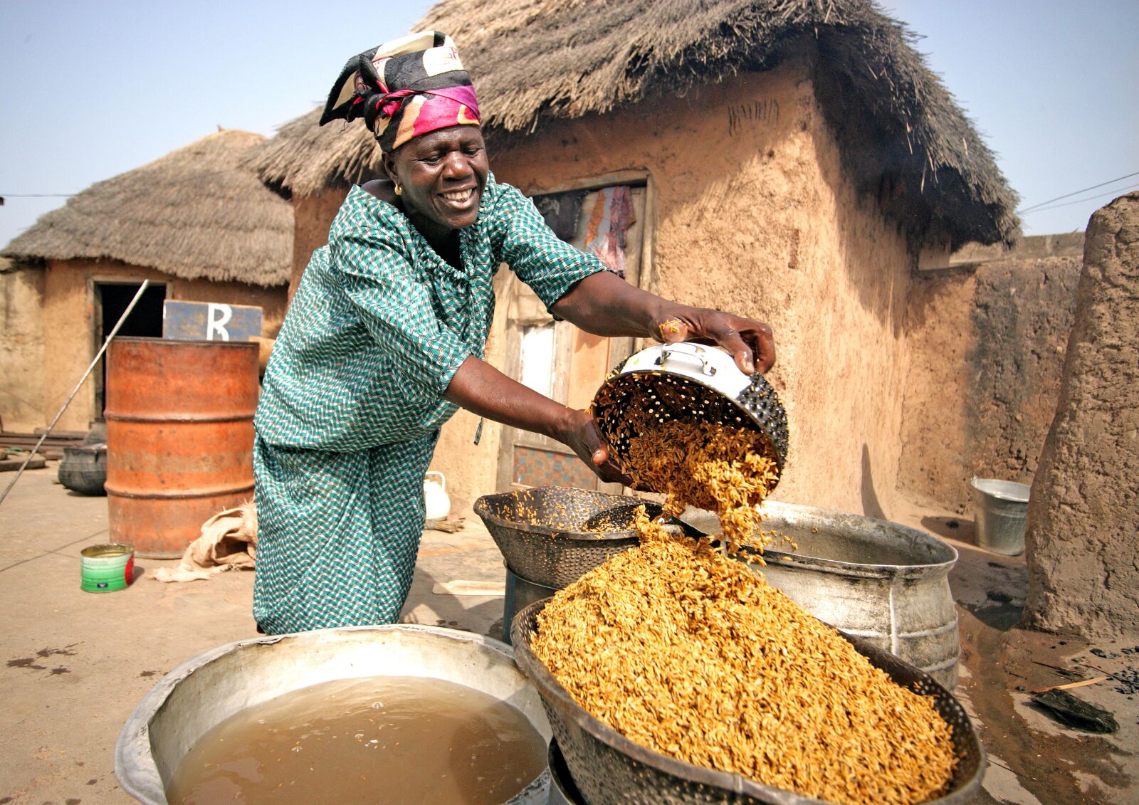 Canon EOS-1Ds Mark II sample photo. Women, processing, rice, ghana photography