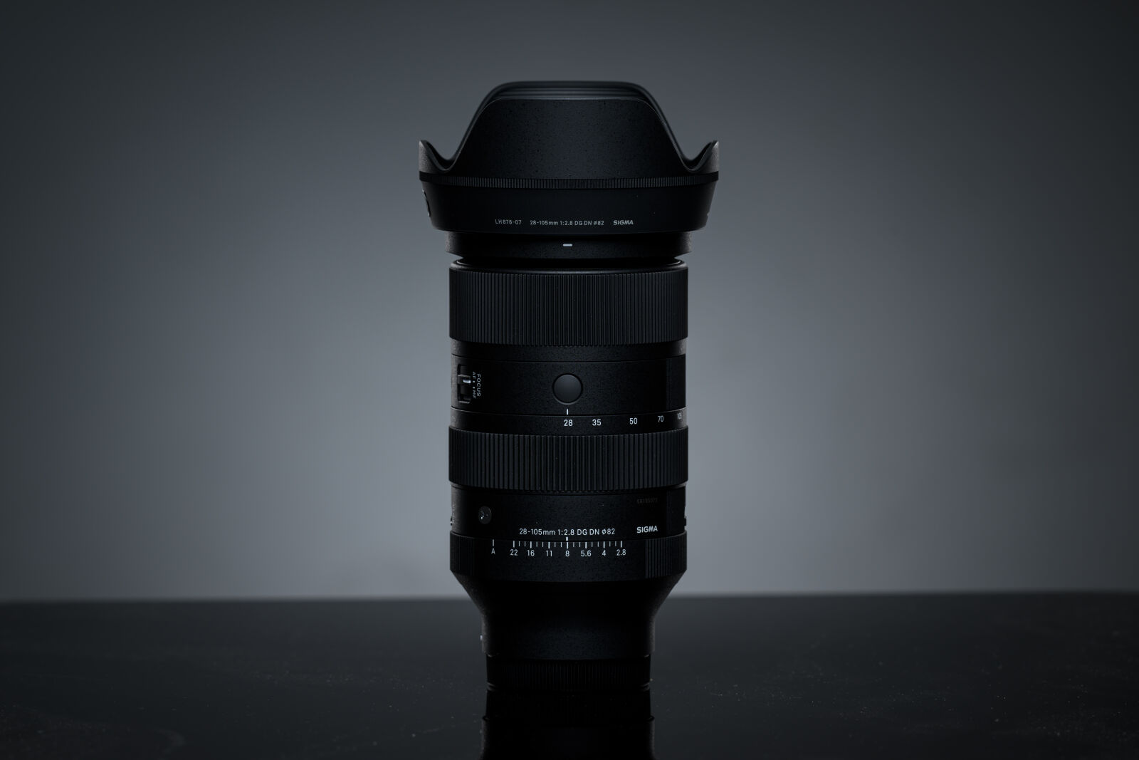 Nikon Nikkor Z 180-600mm F5.6-6.3 VR sample photo. Sigma 28-105mm f2.8 dg photography