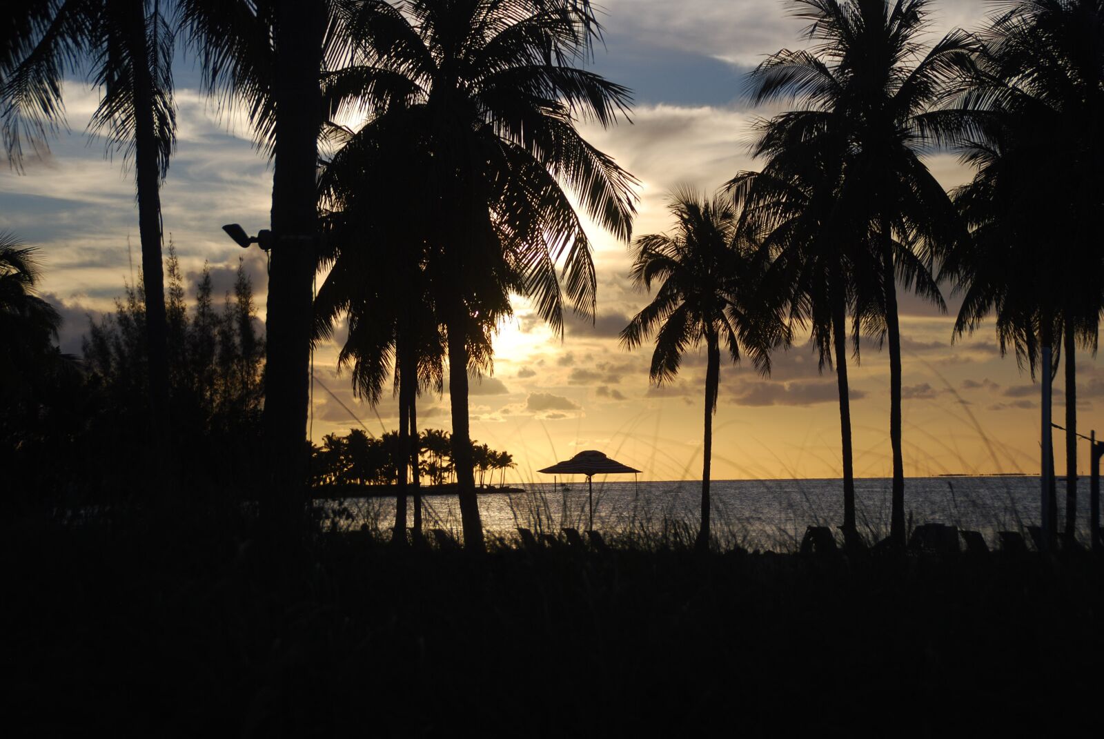 Nikon D40X sample photo. Palm trees, sunset, silhouette photography