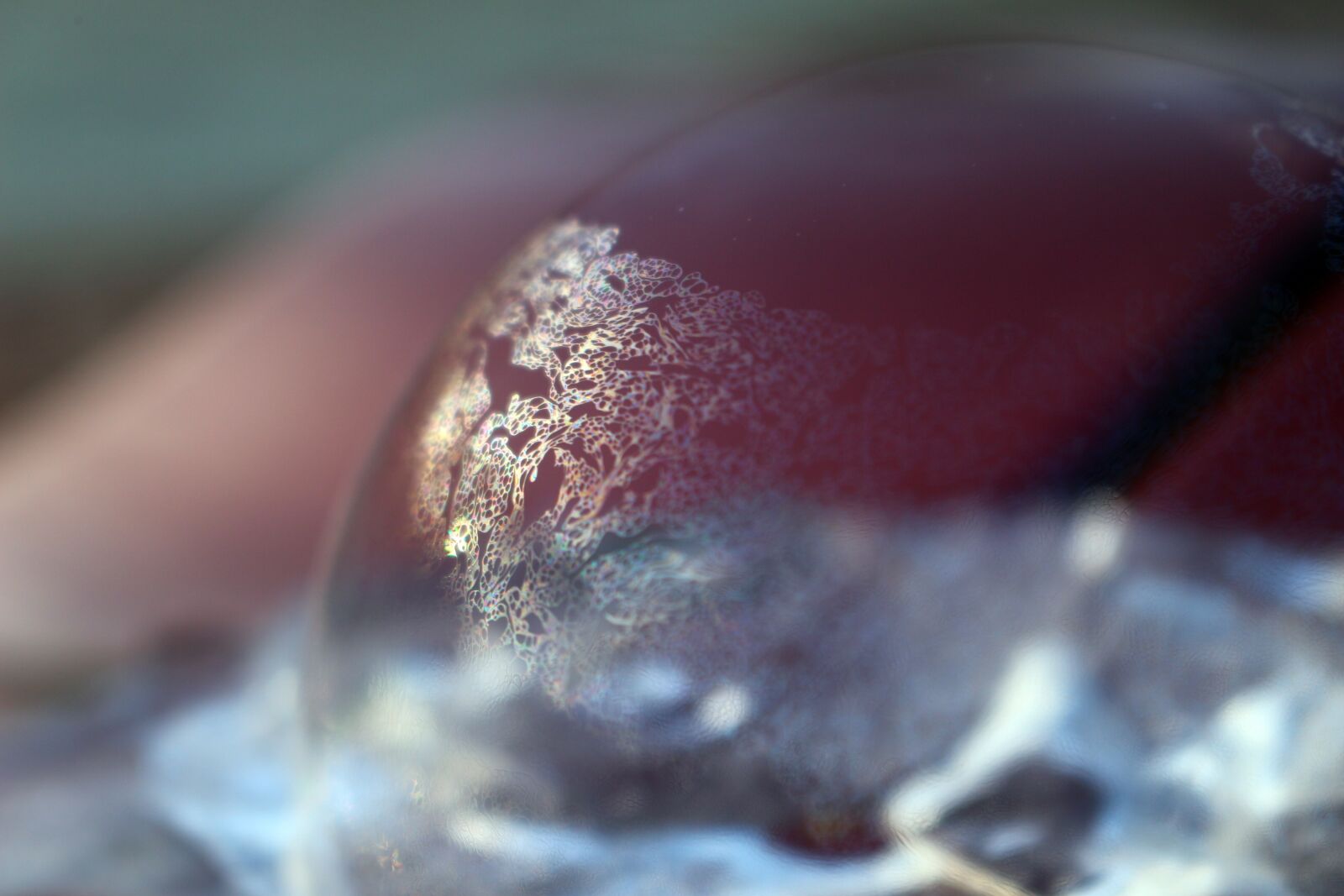 Canon EOS 100D (EOS Rebel SL1 / EOS Kiss X7) sample photo. Silk bubble, ice, frozen photography
