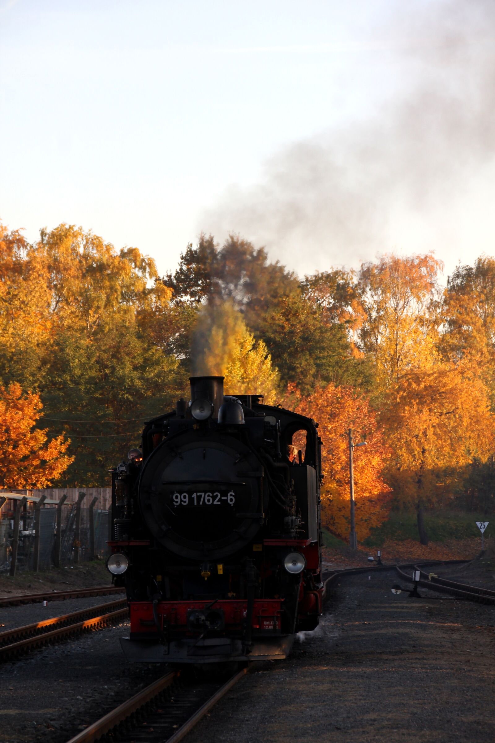 Canon EOS 60D sample photo. Steam locomotive, narrow gauge photography